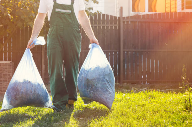 Best Trash Removal Near Me  in Mount Zion, IL