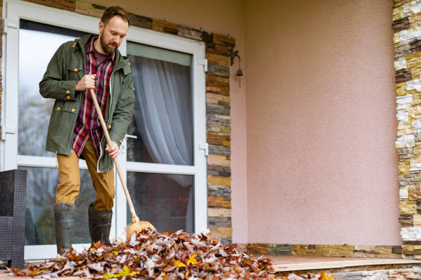 Best Affordable Junk Removal Services  in Mount Zion, IL